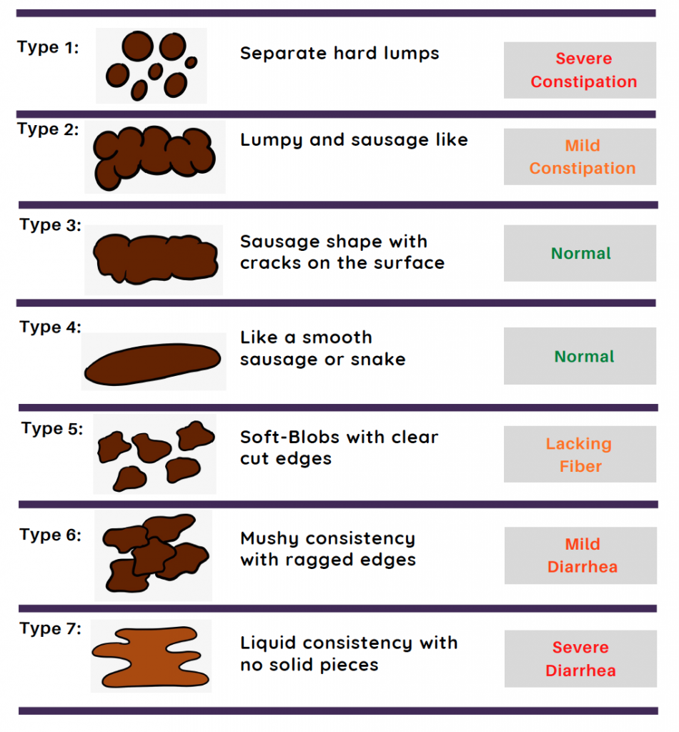Bristol Stool Scale displaying 7 types of stool.